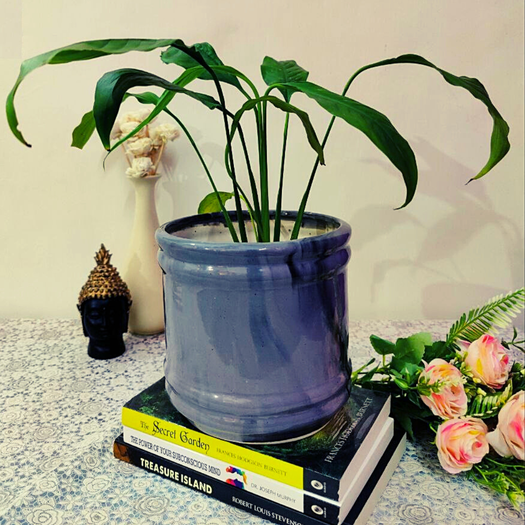 Stylish Glossy Barrel shaped and Grey in Color Ceramic planter Pot for decorating your Indoor & Outdoor Home, Garden, Office Decoration, Balcony Planters Pot. Gamla Size- 16*16 cm 